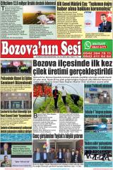 BOZOVA'NIN SESİ