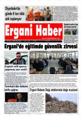 ERGANİ HABER