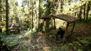 Giresun Dereli’de Sonbahar: Yaylalar ve Travertenler Renklendi