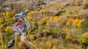 Giresun Şebinkarahisar Dut Bahçeleri Sonbahar Renklerine Büründü