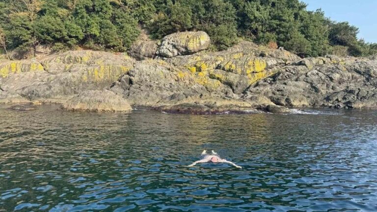 Giresun Valisi Serdengeçti’den Kasımda Ada Keyfi: Karadeniz’de Yüzdü