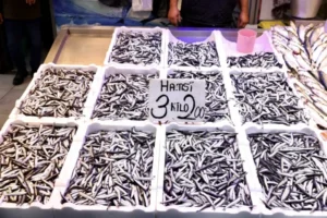 Trabzon’da Hamsi 75 TL: Balıkçılar Fiyatlardan Memnun