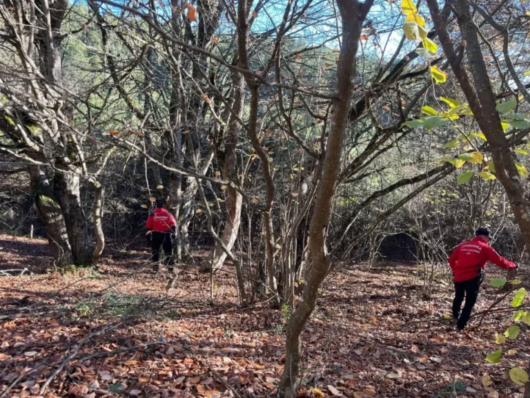 Bolu’da Mantar Toplarken Kaybolan Yaşlı Adam Aranıyor