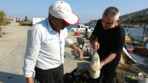 Giresun’da Denizden Gizemli At Ayağı Heykeli Çıktı