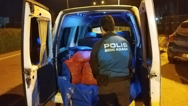 Samsun’da Kaçak Avlanan 200 Kg Midye Ele Geçirildi, Ceza Kesildi