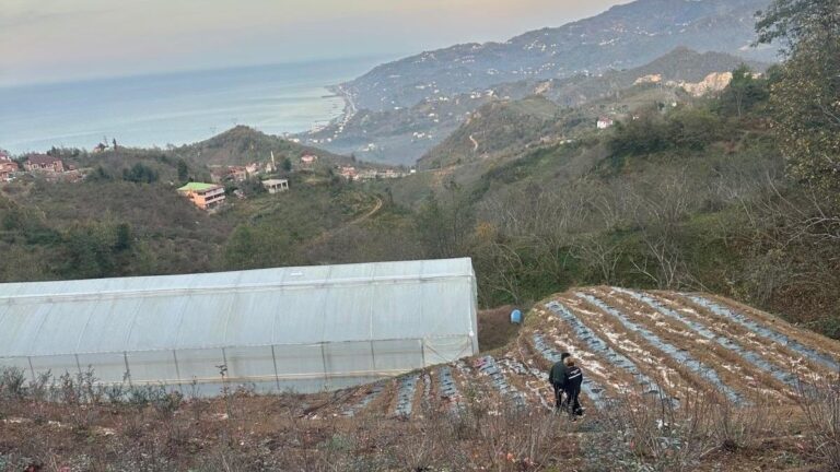 Giresun’da Alternatif Ürün Projeleri: Maviyemis ve Aronya Takibi