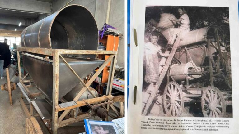 Giresun’da Dünyanın İlk Fındık Patozu Restore Ediliyor