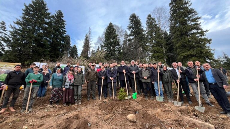Bulancak’ta Milli Ağaçlandırma Günü: Yüzlerce Fidan Toprakla Buluştu
