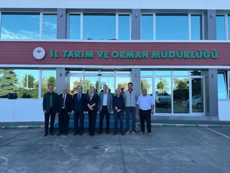 Giresun’da Kahverengi Kokarca Mücadelesi: Özel Ekipler Görevde