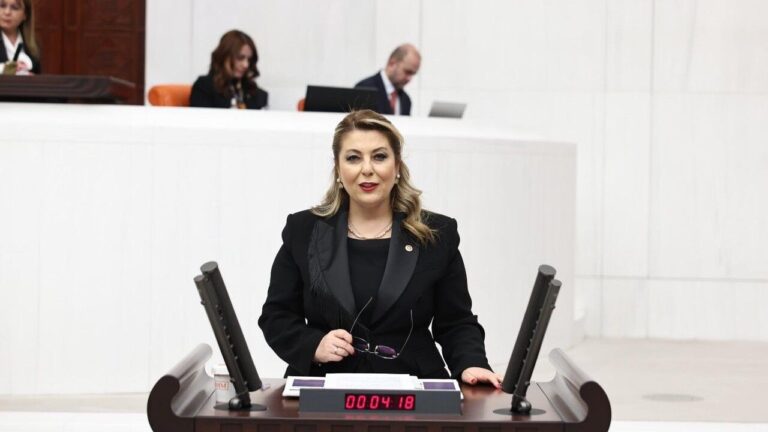 Ordu-Giresun Havalimanı Uçuşları Yetersiz: Vekilden Çağrı