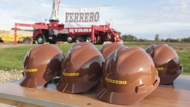 Rekabet Kurulu, Ferrero’nun Fındık Alım Taahhüdünü Revize Etti