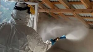 Giresun’da Kahverengi Kokarca Mücadelesi Yoğunlaştı