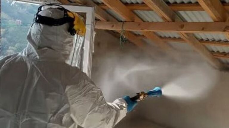 Giresun’da Kahverengi Kokarca Mücadelesi Yoğunlaştı