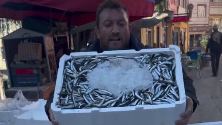 Hamsi Fiyatlarında Büyük İndirim: Ordu’da 5 Kilo 100 Lira