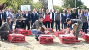 Kene ve Kokarcaya Karşı 45 Bin Keklik ve Sülün Doğaya Salındı