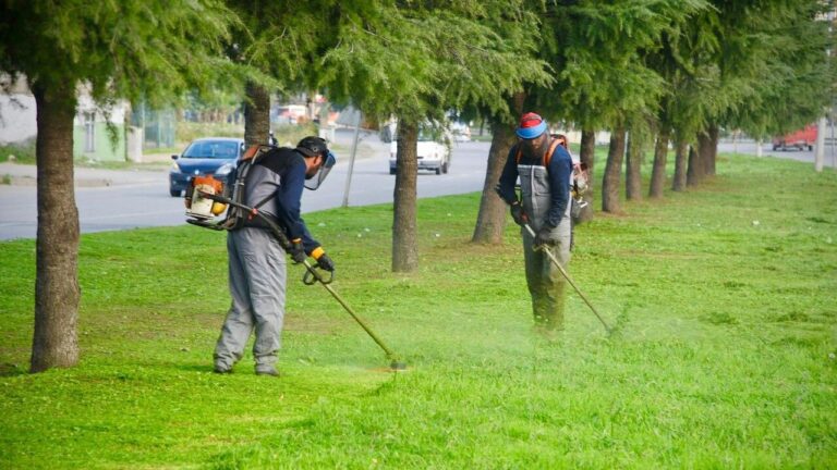 Giresun Belediyesi Kış Öncesi Yeşil Alan Bakımını Hızlandırdı
