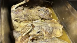 Samsun Kaz Tiridi Sezonu Açıldı: Yöresel Lezzete Yoğun İlgi