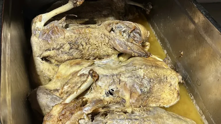 Samsun Kaz Tiridi Sezonu Açıldı: Yöresel Lezzete Yoğun İlgi