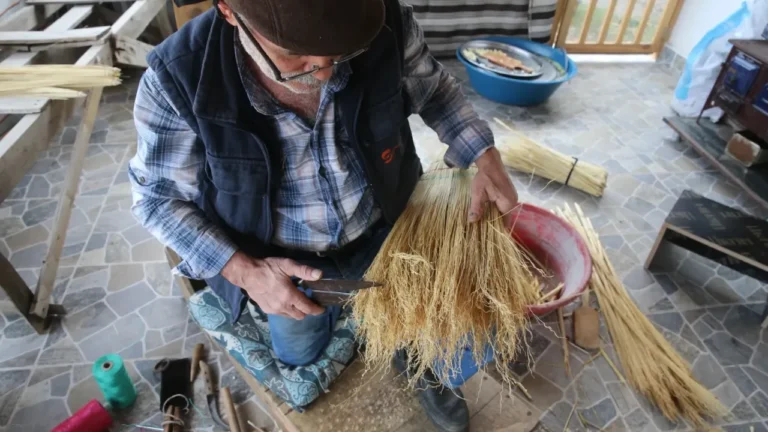 Niksar Gökçeoluk Köyü: Süpürge Üretimiyle Geçim Mücadelesi