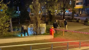 Akrabalar arasındaki bıçaklı kavga cinayetle bitti