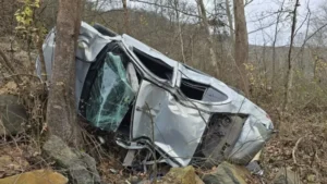 Ormanlık alana yuvarlanan otomobildeki 1 kişi öldü