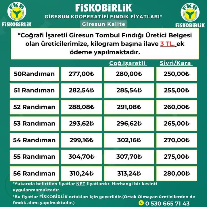 Fındıkta Fiskobirlik Fiyatları Yukarı Çekti! İşte 50 Randıman İçin Yeni Rakam