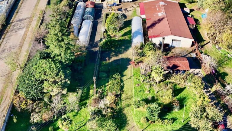 Giresun Belediyesi Çocukları Serada Doğayla Buluşturuyor