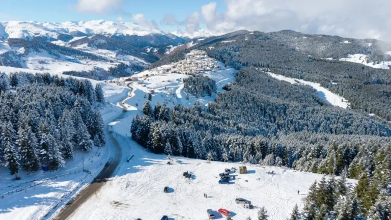 Giresun’un Kümbet Yaylası’nda yeşille beyaz içiçe