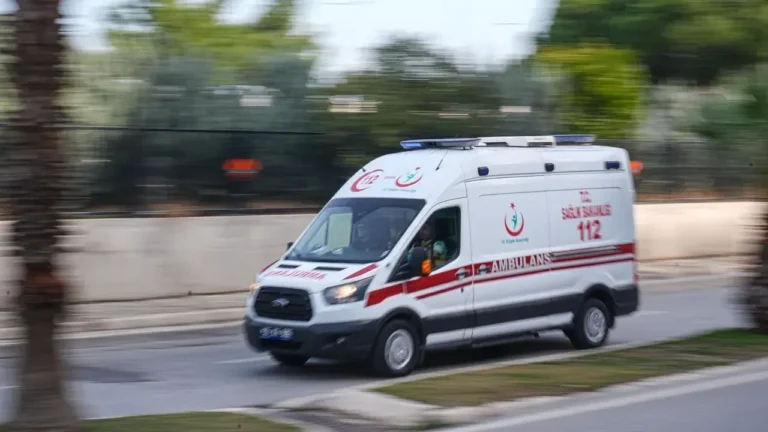 Giresun’da Bahçe Yangınında Yaralanan Kadın Hastaneye Kaldırıldı