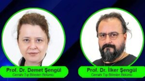 Giresunlu Şengül Çifti, Stanford’un En Etkili Bilim İnsanları Listesinde