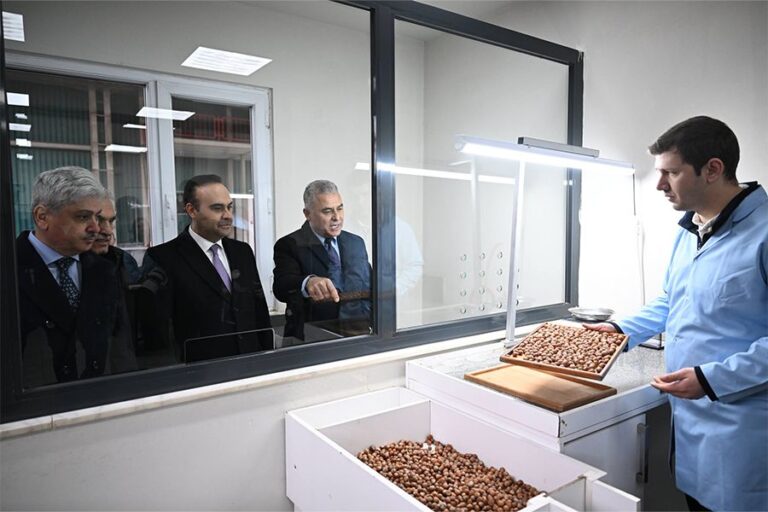 “Fındık kabuğundan 5 milyar dolar katma değer mümkün”