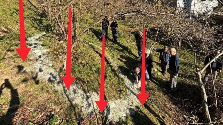 Fındıkta doğru gübre ve kireçleme anlatıldı!