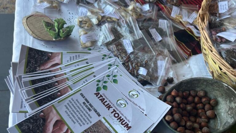 Giresun’da atalık tohumlar takas edilerek yaşatılacak