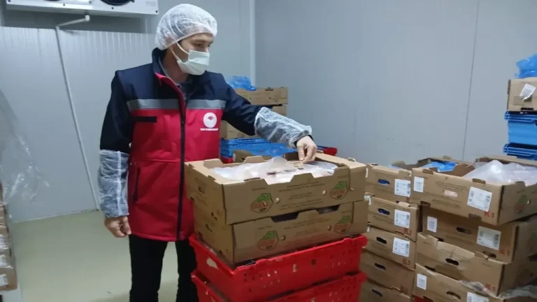 Giresun’da hayvansal gıda depolarında sıkı denetim