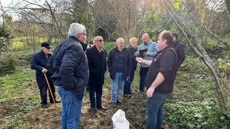Fındıkta Doğru Kireçleme ve Gübreleme Eğitimi Verildi