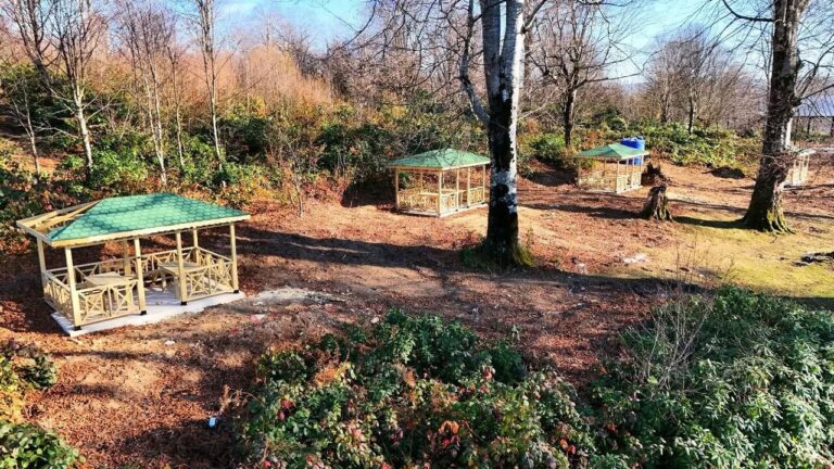 Piraziz Meşepınarı Mesire Alanı Projesi: Çalışmalar Hız Kesmiyor