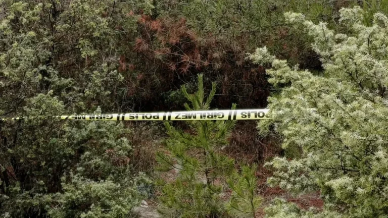 Karabük’te Kayıp Abizer Y. Ormanlık Alanda Ölü Bulundu