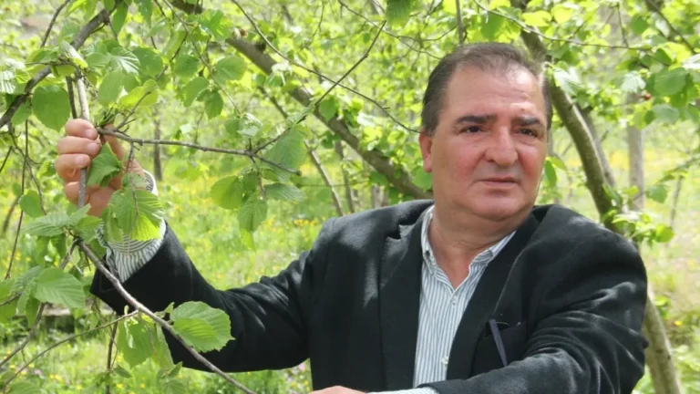 40 Bin Ton Fındığı Kokarca Yedi!