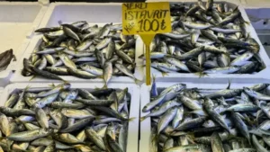 Tezgahlarda istavrit ve hamsi bolluğu