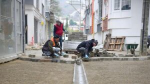 Teyyaredüzü Mahallesi Tarım Sokak Yenilendi