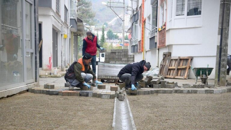 Teyyaredüzü Mahallesi Tarım Sokak Yenilendi