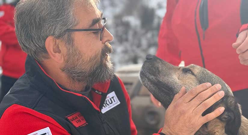 AKUT Giresun’dan Sokak Hayvanlarına destek