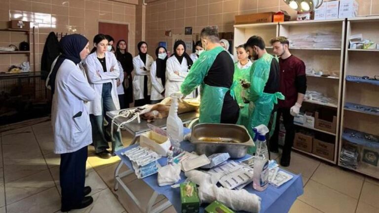 Giresun’da sokak hayvanlarının tedavisini öğrenciler yaptı