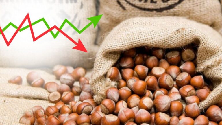 Giresun iş dünyasında ihracat sevinci