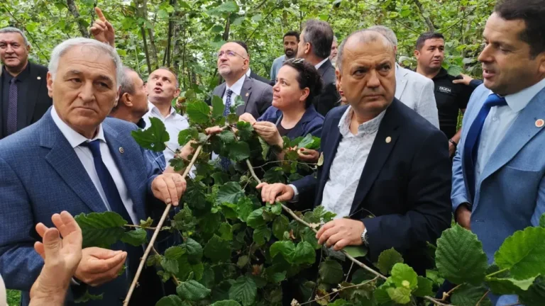 2025 çiftçiler için felaket yılı oldu