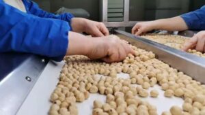 Giresun’un fındık ihracat şampiyonları belli oldu