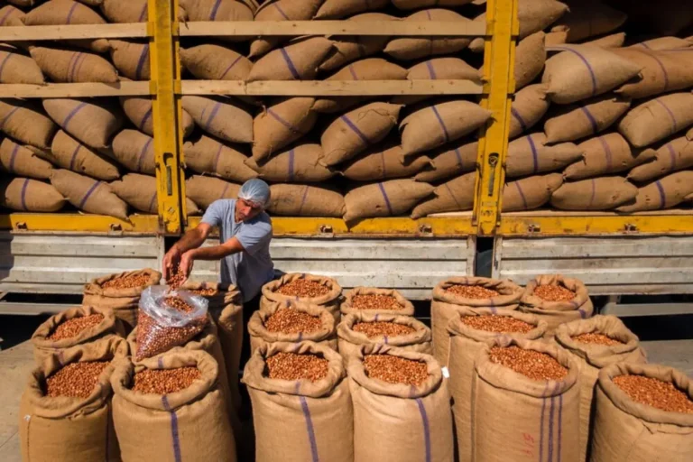 Fındık ihracatında yeni yıl şoku