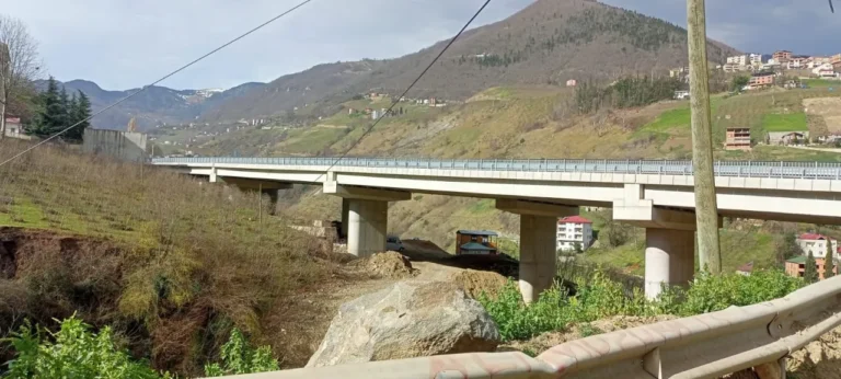 Bahçesine giderken viyadükten düşen çiftçi öldü