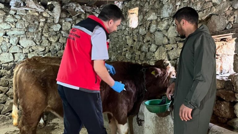 Giresun’da yetiştiricilere şap uyarısı!