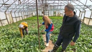 Boztekke’de “Tarladan Sofraya Güvenilir Gıda” Mesaisi